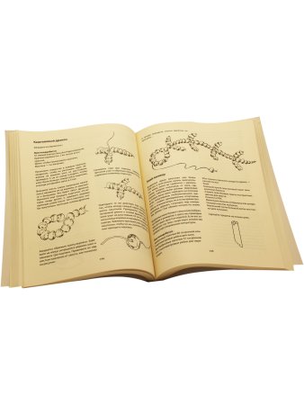 Круглый год. Книга праздников года